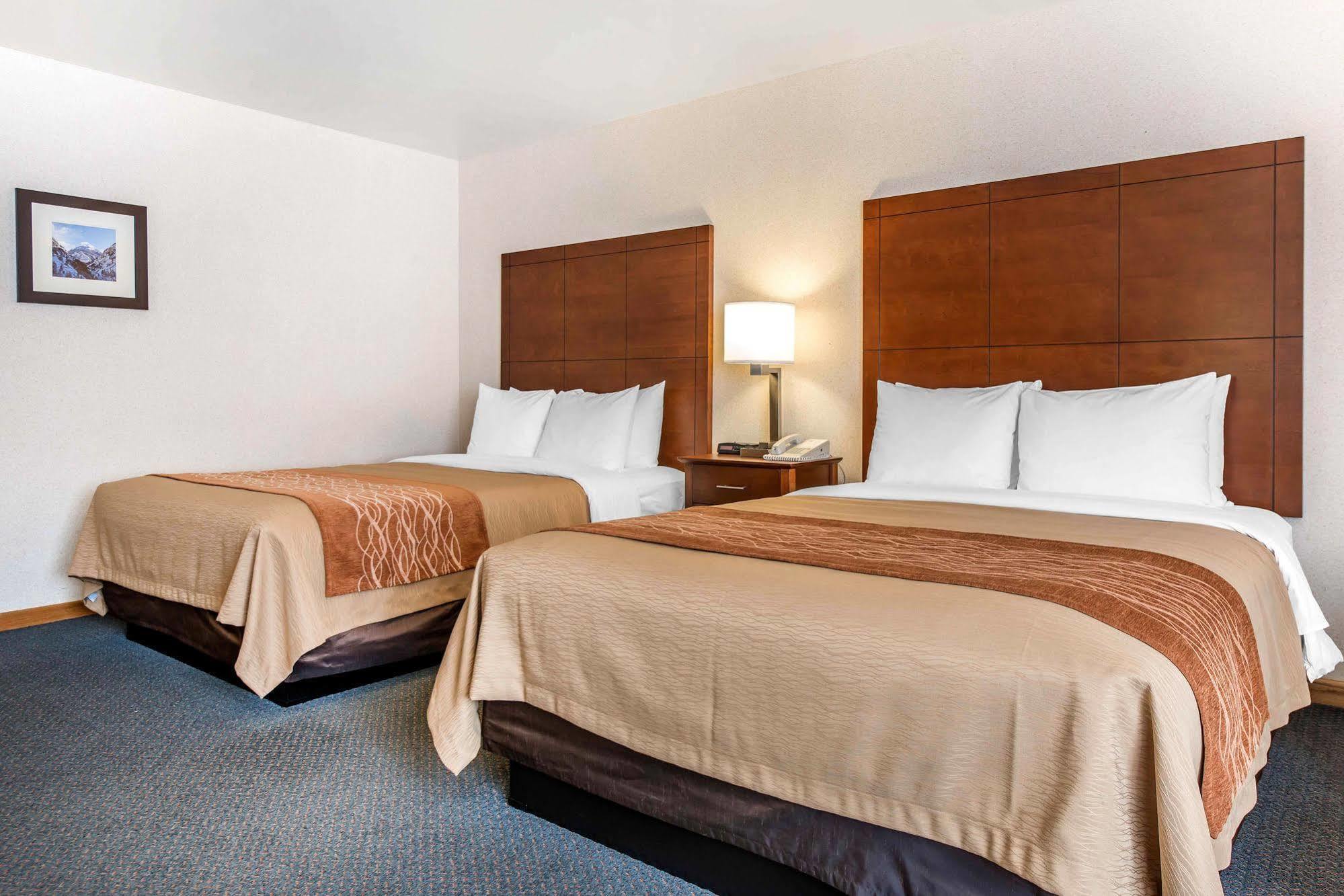 Comfort Inn Salida Bagian luar foto